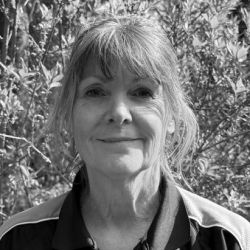 Teressa Wyman